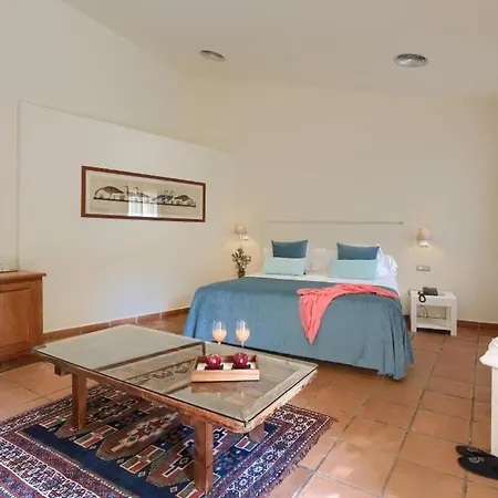 Hotel Convent De 4*